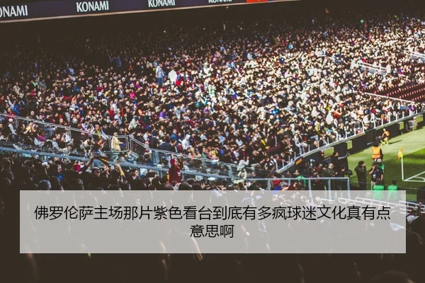 佛罗伦萨主场那片紫色看台到底有多疯球迷文化真有点意思啊