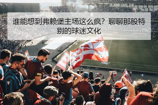 谁能想到弗赖堡主场这么疯？聊聊那股特别的球迷文化