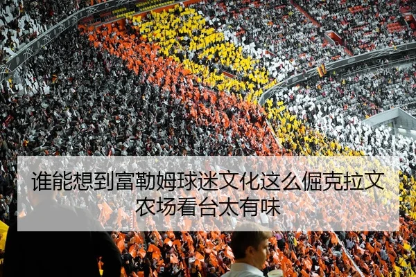 谁能想到富勒姆球迷文化这么倔克拉文农场看台太有味