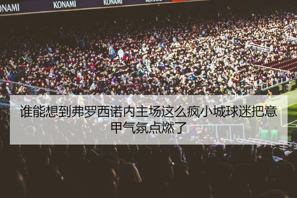 谁能想到弗罗西诺内主场这么疯小城球迷把意甲气氛点燃了