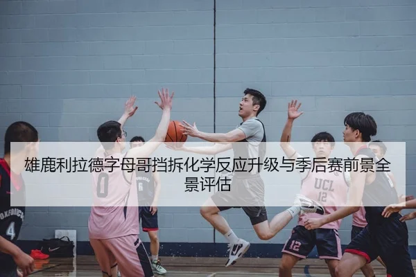 雄鹿利拉德字母哥挡拆化学反应升级与季后赛前景全景评估