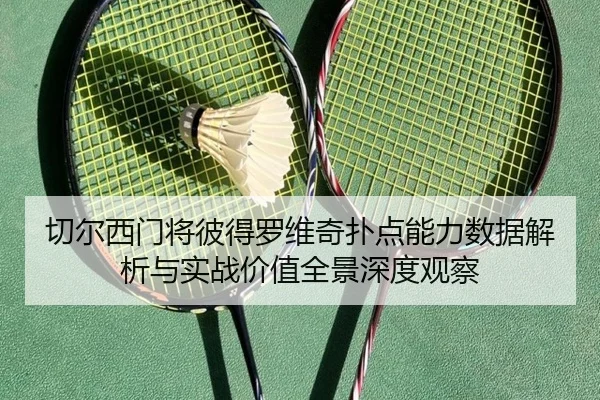 切尔西门将彼得罗维奇扑点能力数据解析与实战价值全景深度观察
